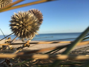 Ferienwohnung Stranddistel